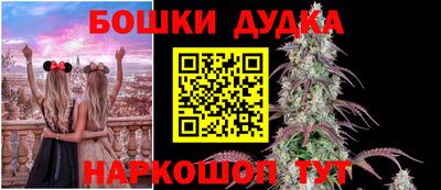 твердый Будённовск