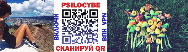 блэк спрут ссылки  Электросталь  Псилоцибиновые грибы Cubensis  где продают  