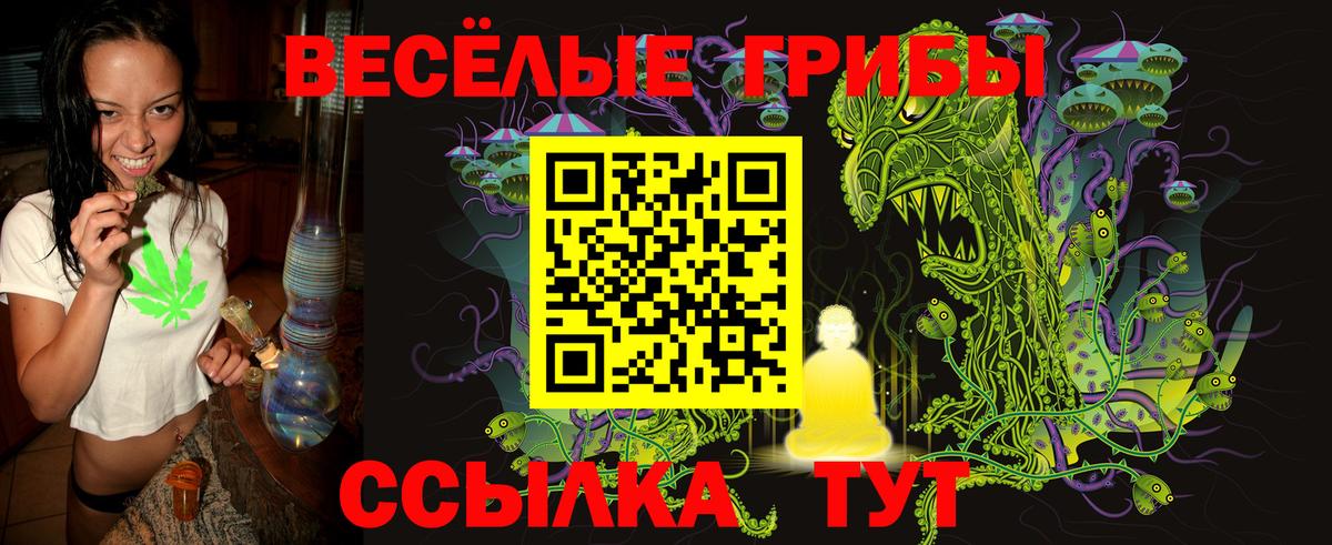 Псилоцибиновые грибы ЛСД  магазин  наркотиков  Электросталь 
