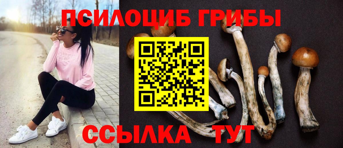 Электросталь  Псилоцибиновые грибы Magic Shrooms  Вход с VPN 